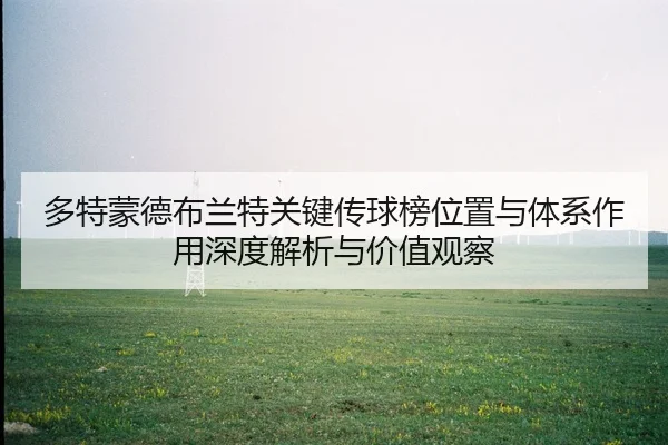 多特蒙德布兰特关键传球榜位置与体系作用深度解析与价值观察